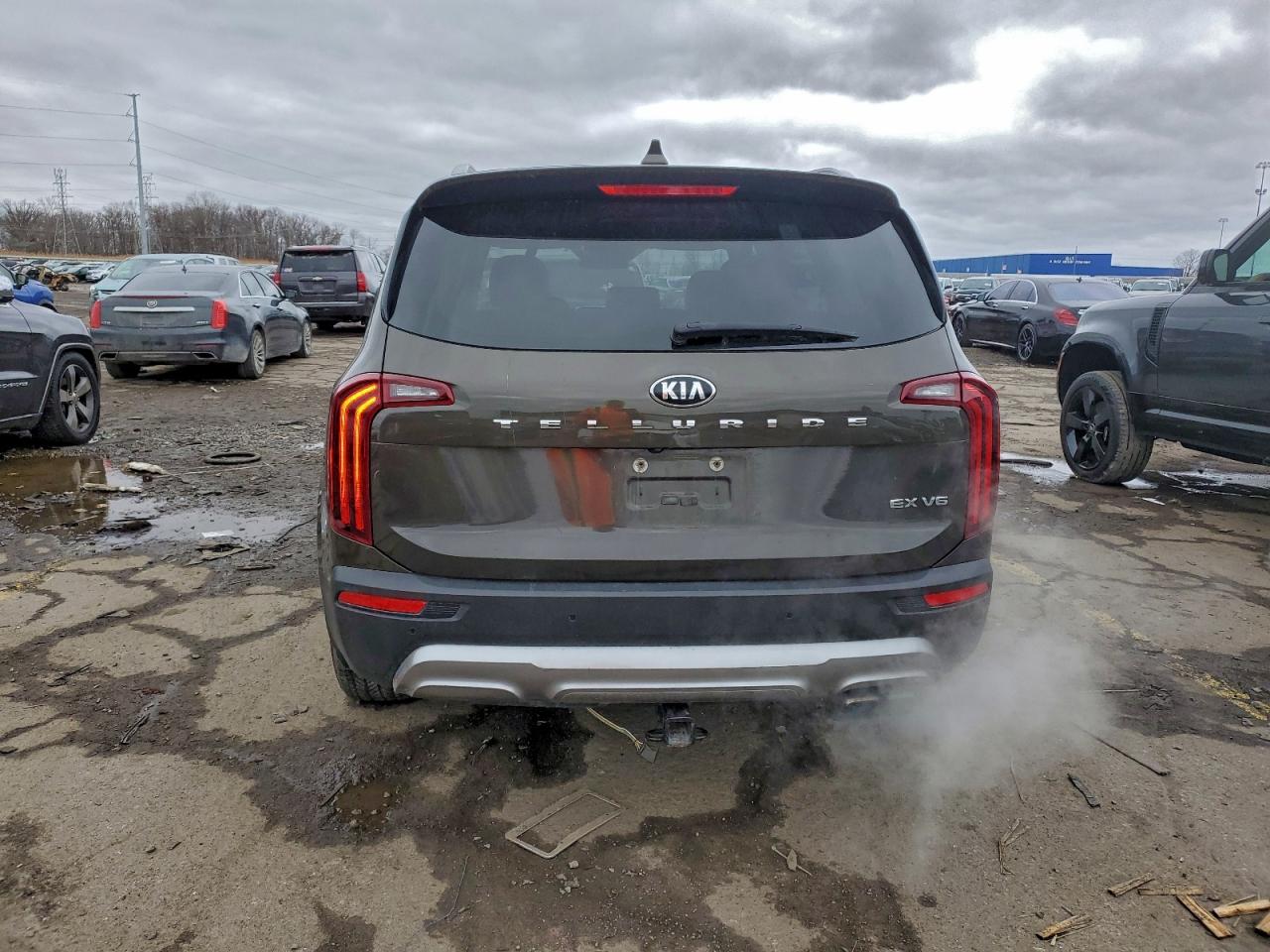 2020 Kia Telluride Ex VIN: 5XYP34HC0LG011820 Lot: 94566545