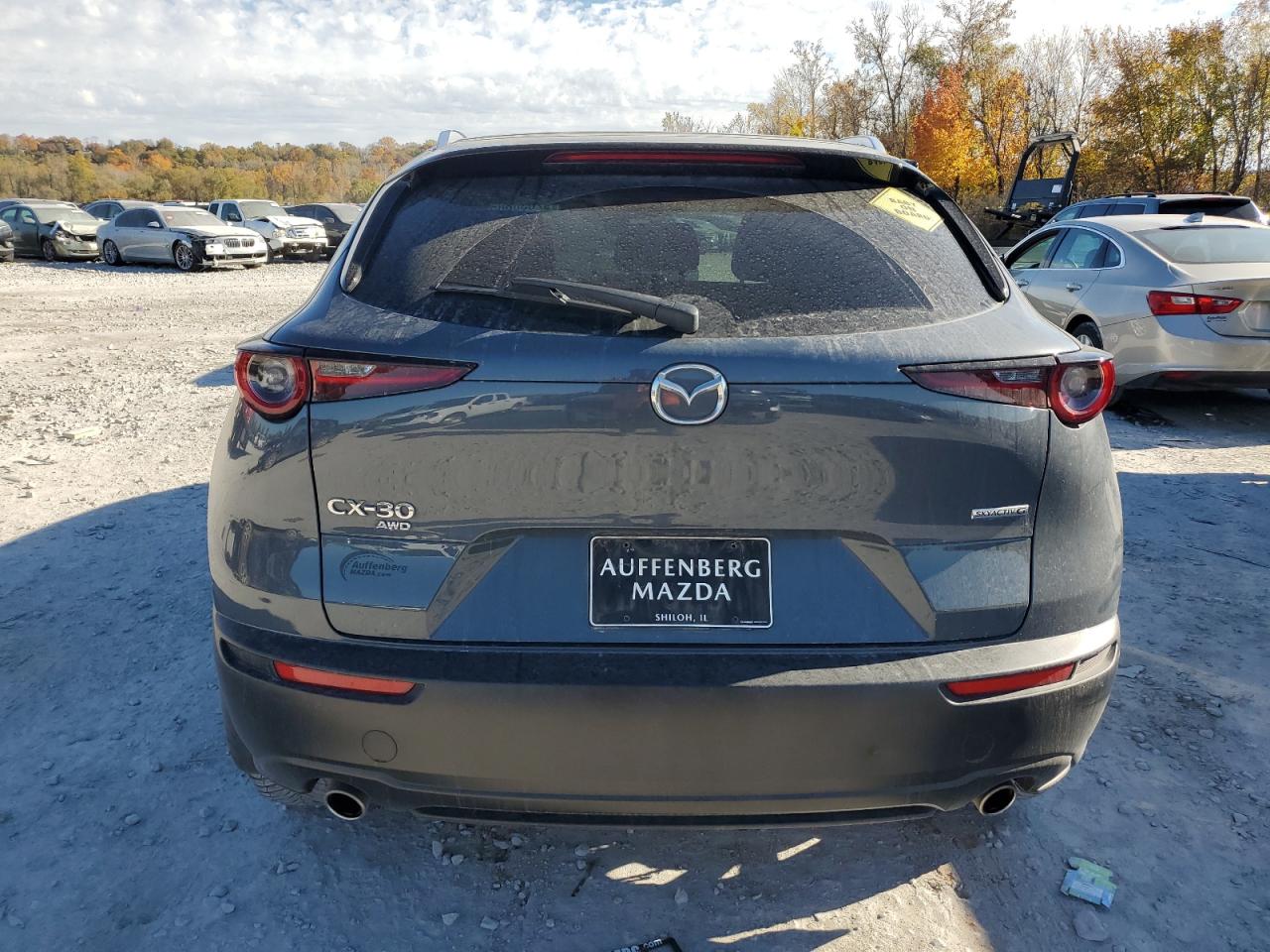 2023 Mazda Cx-30 Preferred VIN: 3MVDMBCM5PM520197 Lot: 92030885