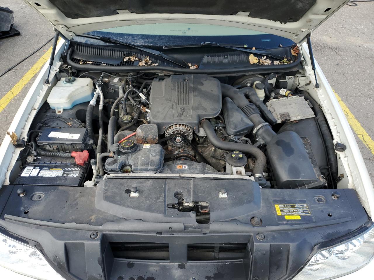 2007 Lincoln Town Car Signature VIN: 1LNHM81V37Y600289 Lot: 90895365