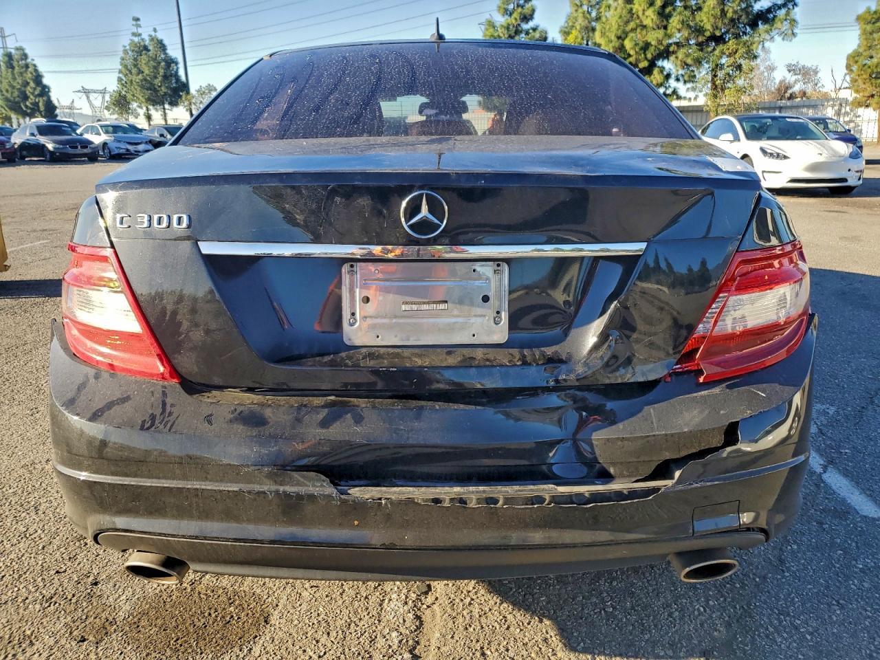 2010 Mercedes-Benz C 300 VIN: WDDGF5EB7AR110180 Lot: 94085365