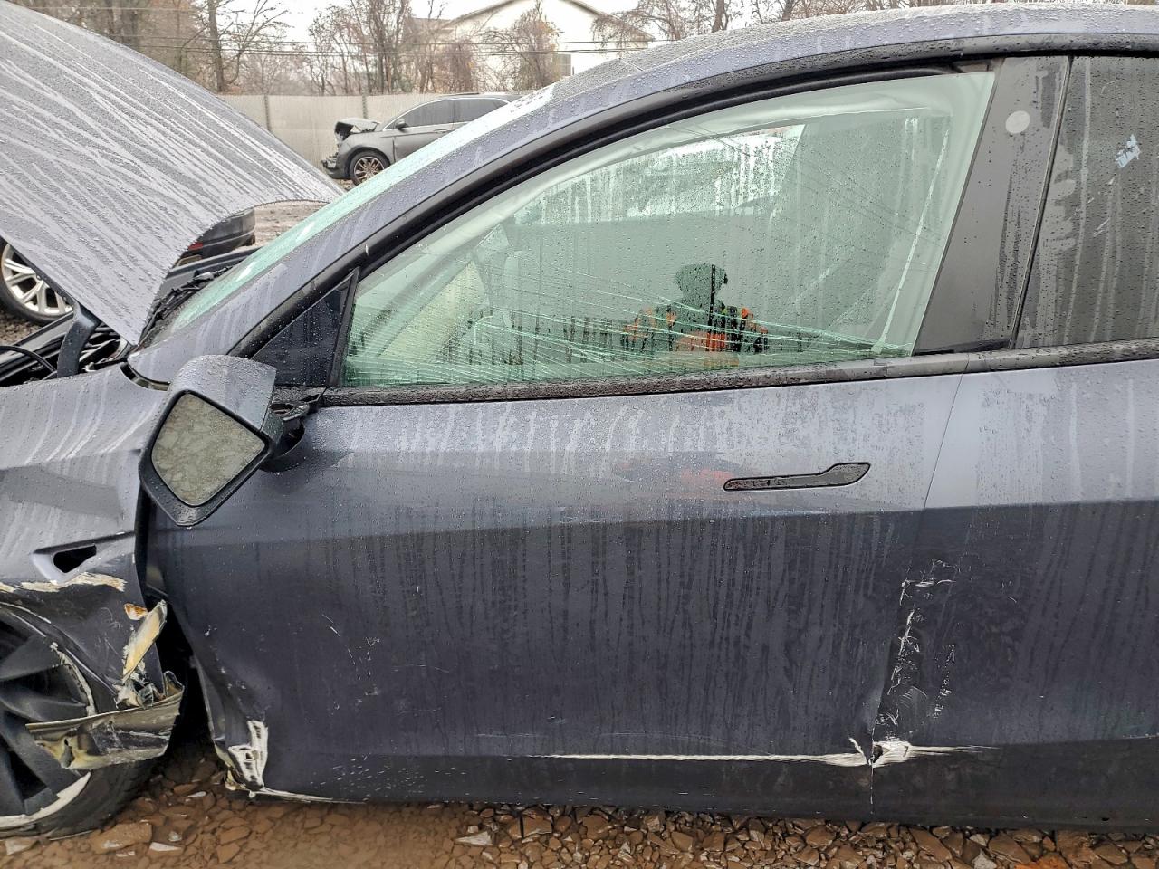 2022 Tesla Model Y VIN: 7SAYGDEE7NF481578 Lot: 93146145