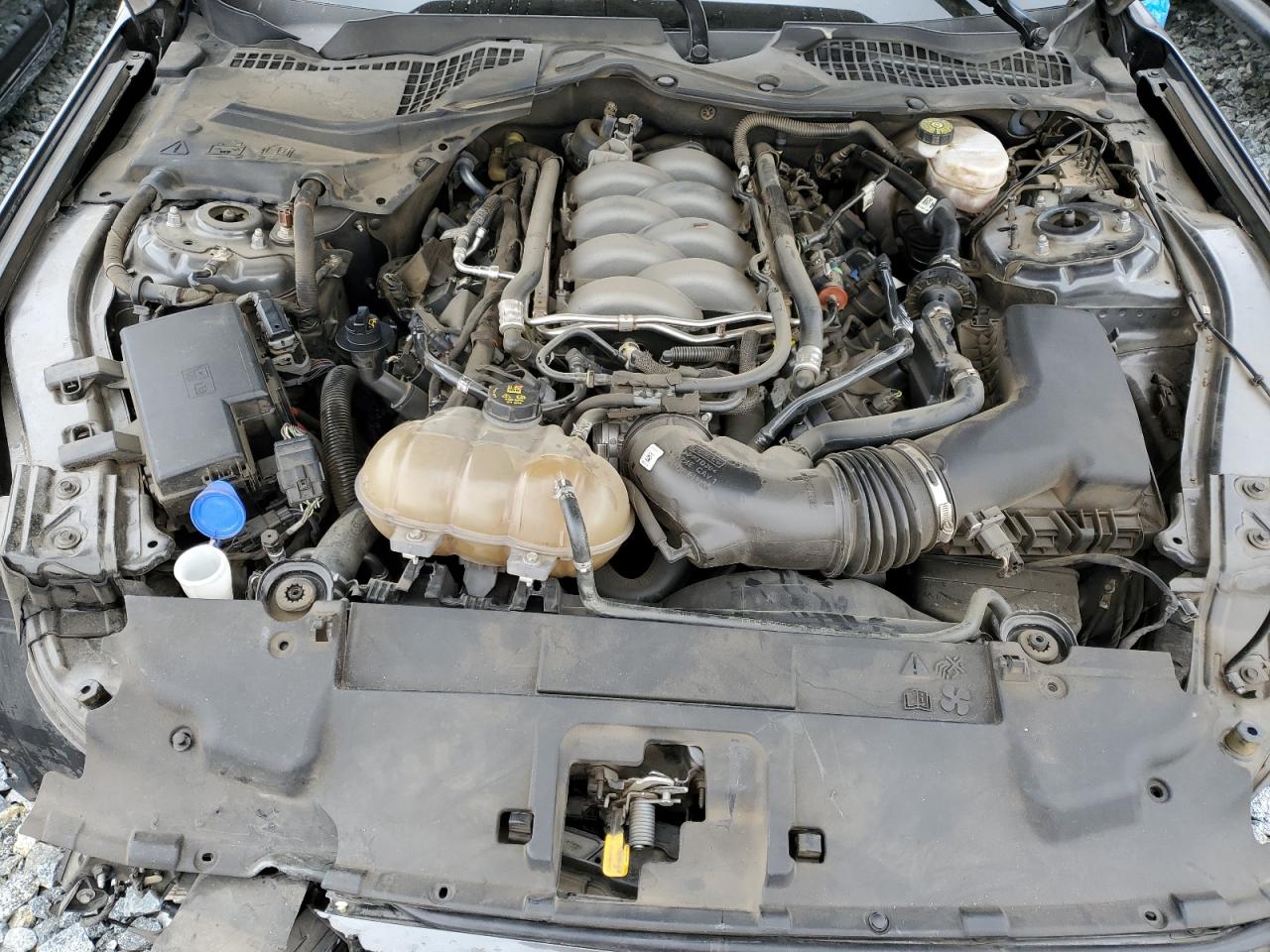 2020 Ford Mustang Gt VIN: 1FA6P8CF8L5125118 Lot: 90753705