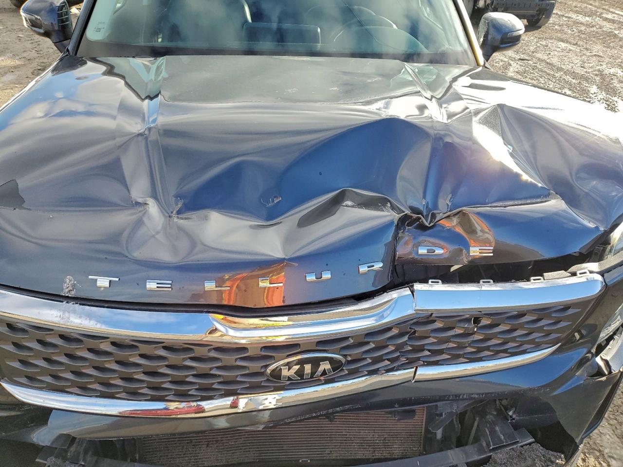 2021 Kia Telluride Lx VIN: 5XYP2DHC9MG138618 Lot: 93082205