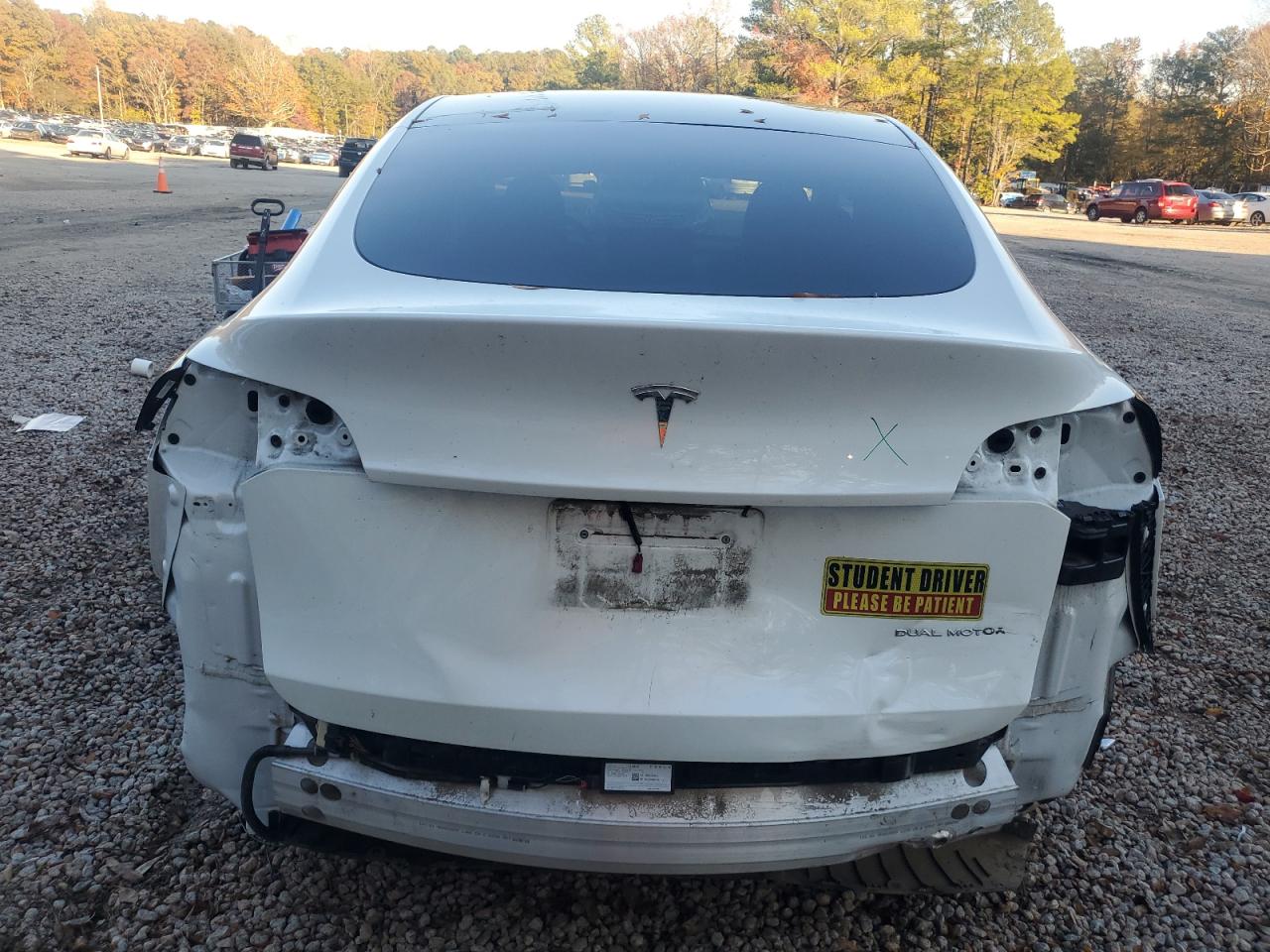 2023 Tesla Model Y VIN: 7SAYGDEE6PF794527 Lot: 82694805