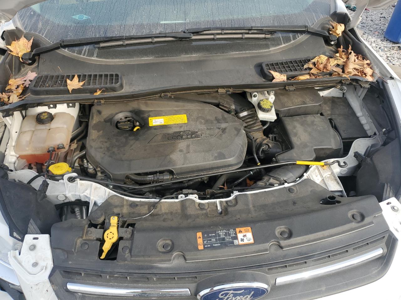 2016 Ford Escape Se VIN: 1FMCU0GX1GUA80508 Lot: 93462425