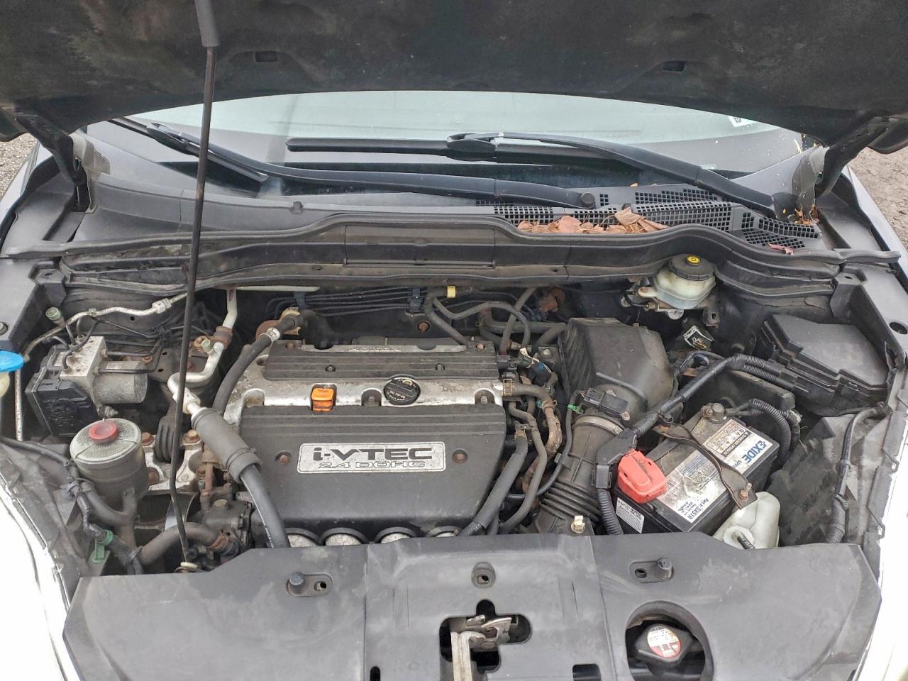 2007 Honda Cr-V Ex VIN: JHLRE38517C055563 Lot: 93657285