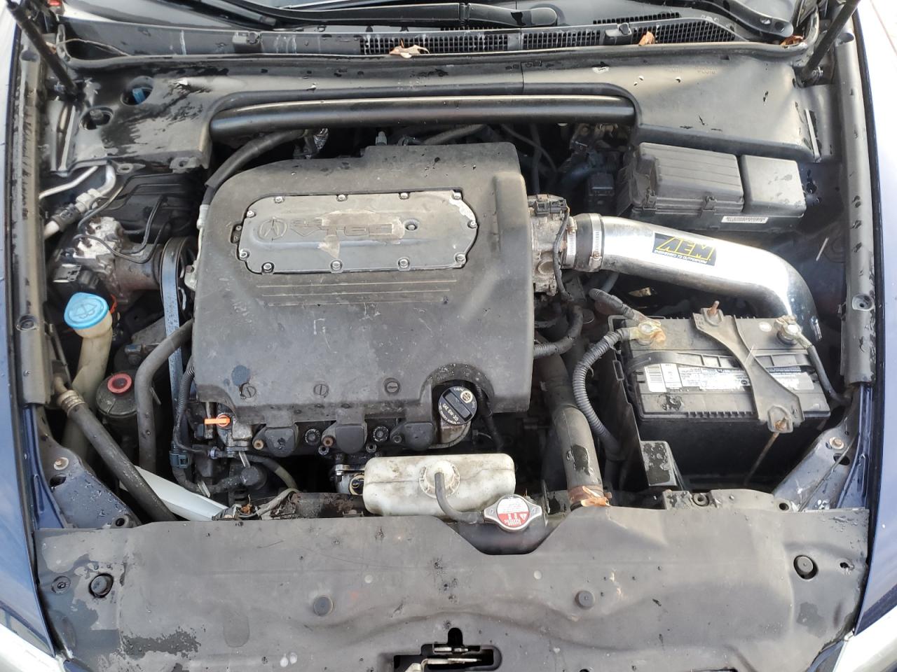 2006 Acura 3.2Tl VIN: 19UUA65576A056558 Lot: 93080685