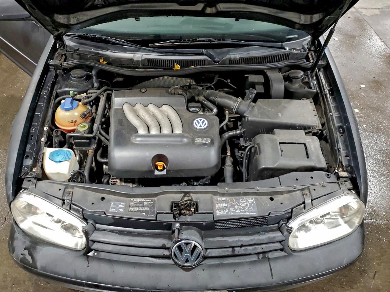 2002 Volkswagen Golf Gl VIN: 9BWBB61J924041001 Lot: 94261945