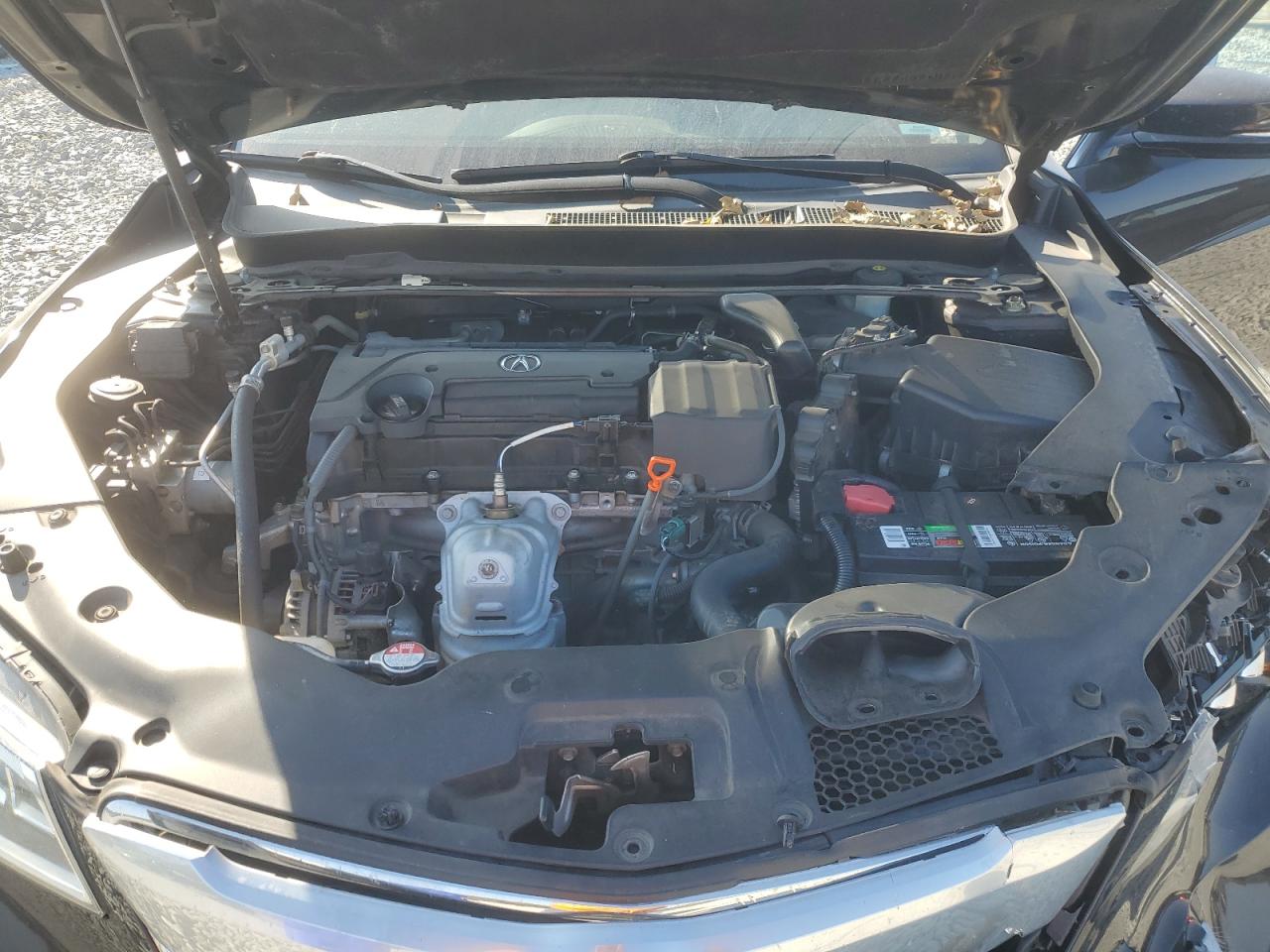 2015 Acura Tlx Tech VIN: 19UUB1F50FA013095 Lot: 93503995