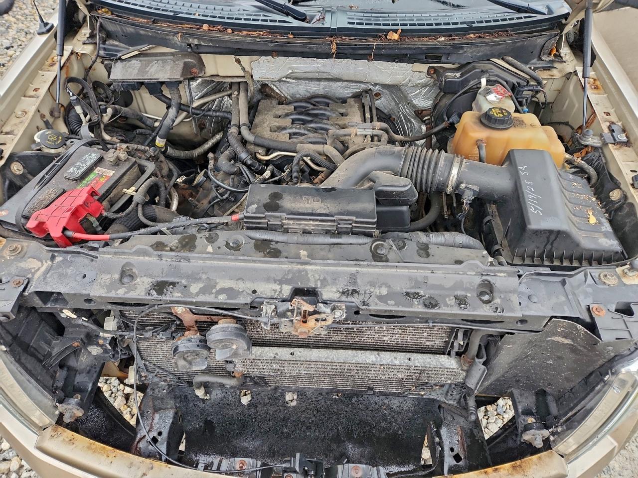 2011 Ford F150 Supercrew VIN: 1FTFW1EF3BFB25974 Lot: 94118455