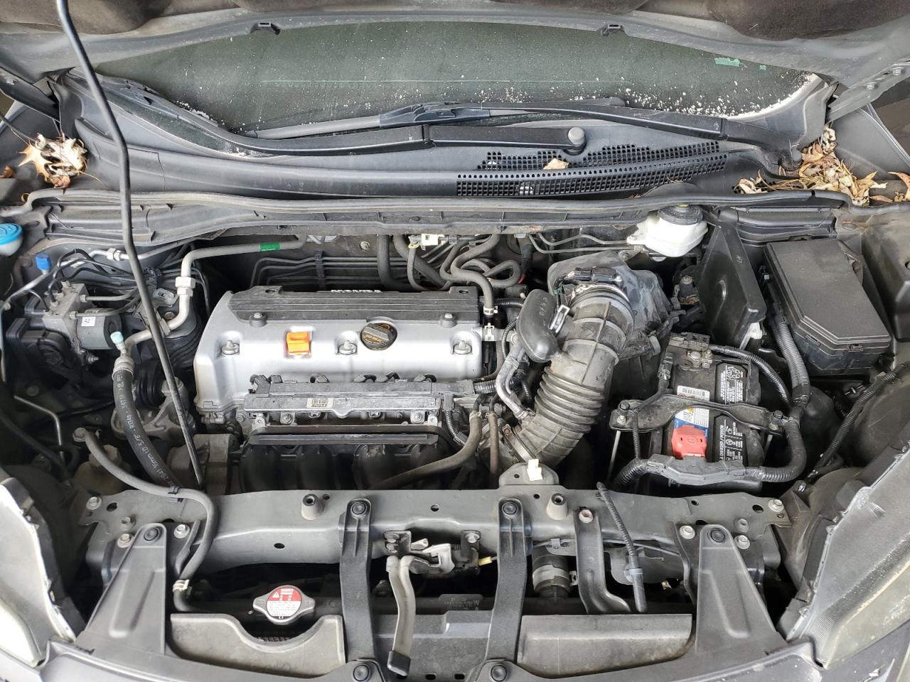 2014 Honda Cr-V Exl VIN: 2HKRM4H70EH650431 Lot: 93364175