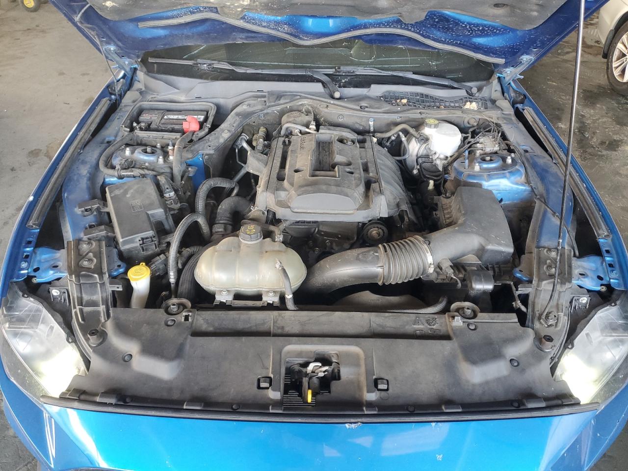 2019 Ford Mustang VIN: 1FA6P8THXK5148416 Lot: 92586195