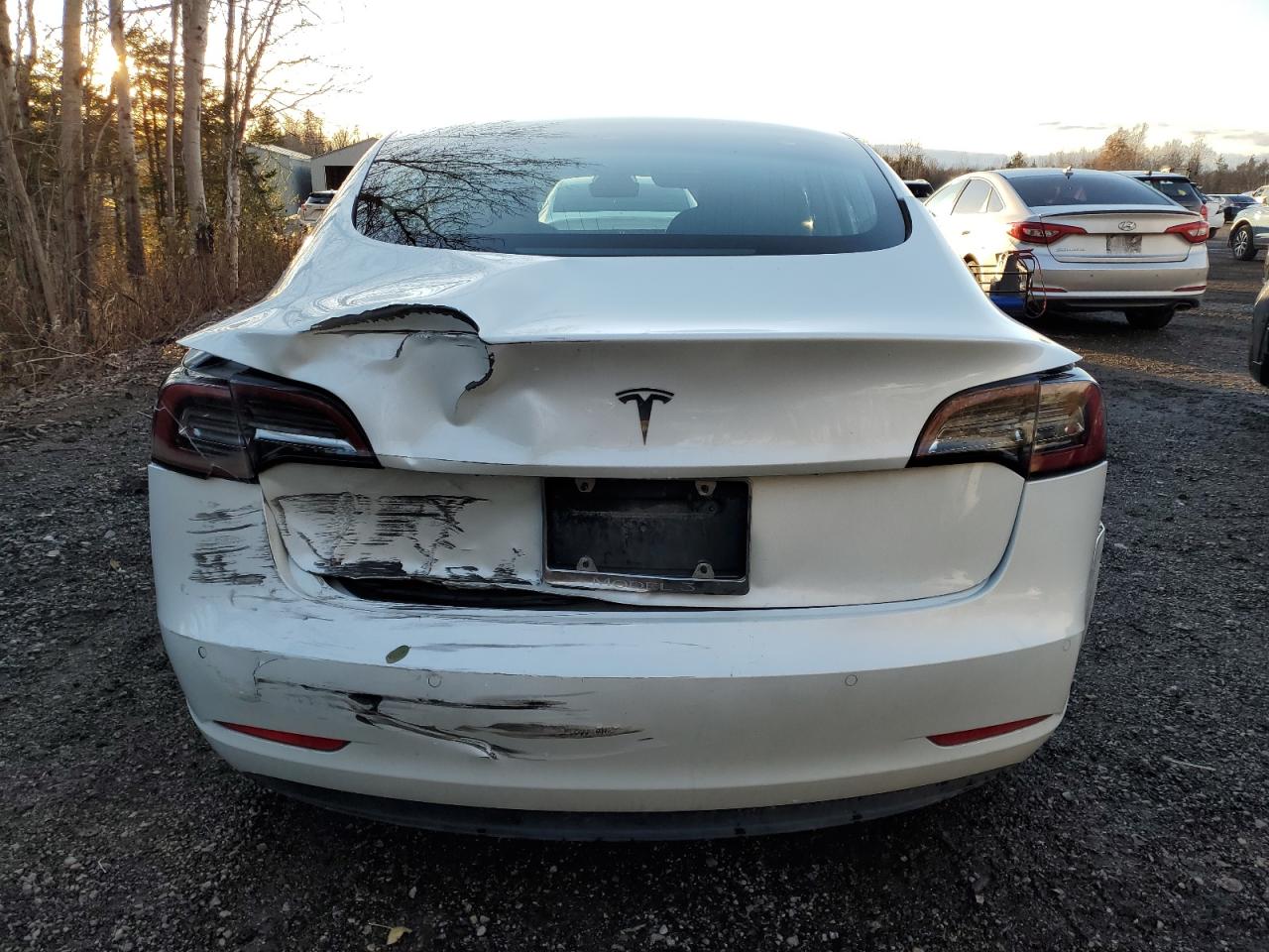 2020 Tesla Model 3 VIN: 5YJ3E1EA1LF591354 Lot: 92848835