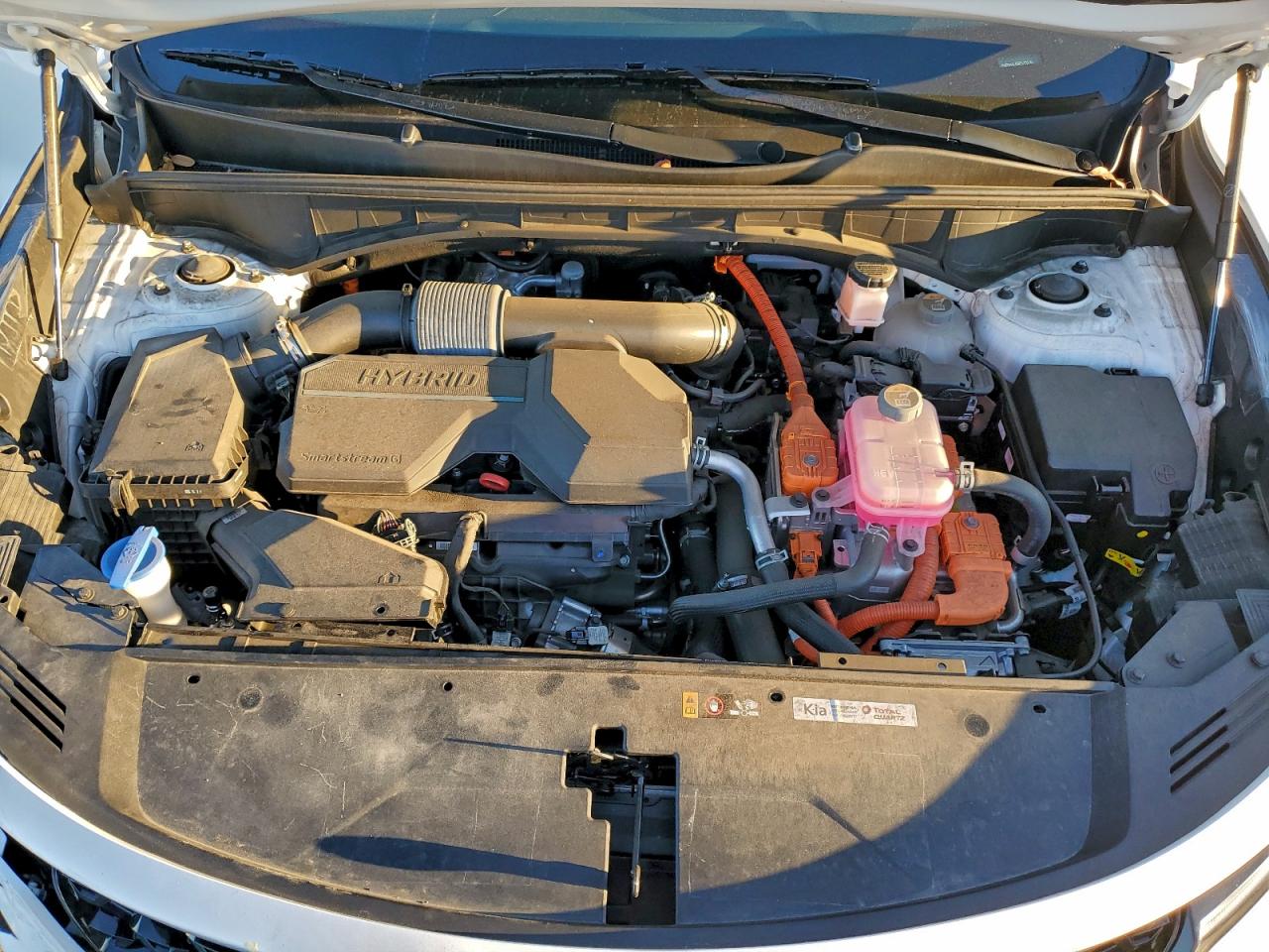 2024 Kia Sorento Ex VIN: KNDRH4LG6R5259768 Lot: 94604345