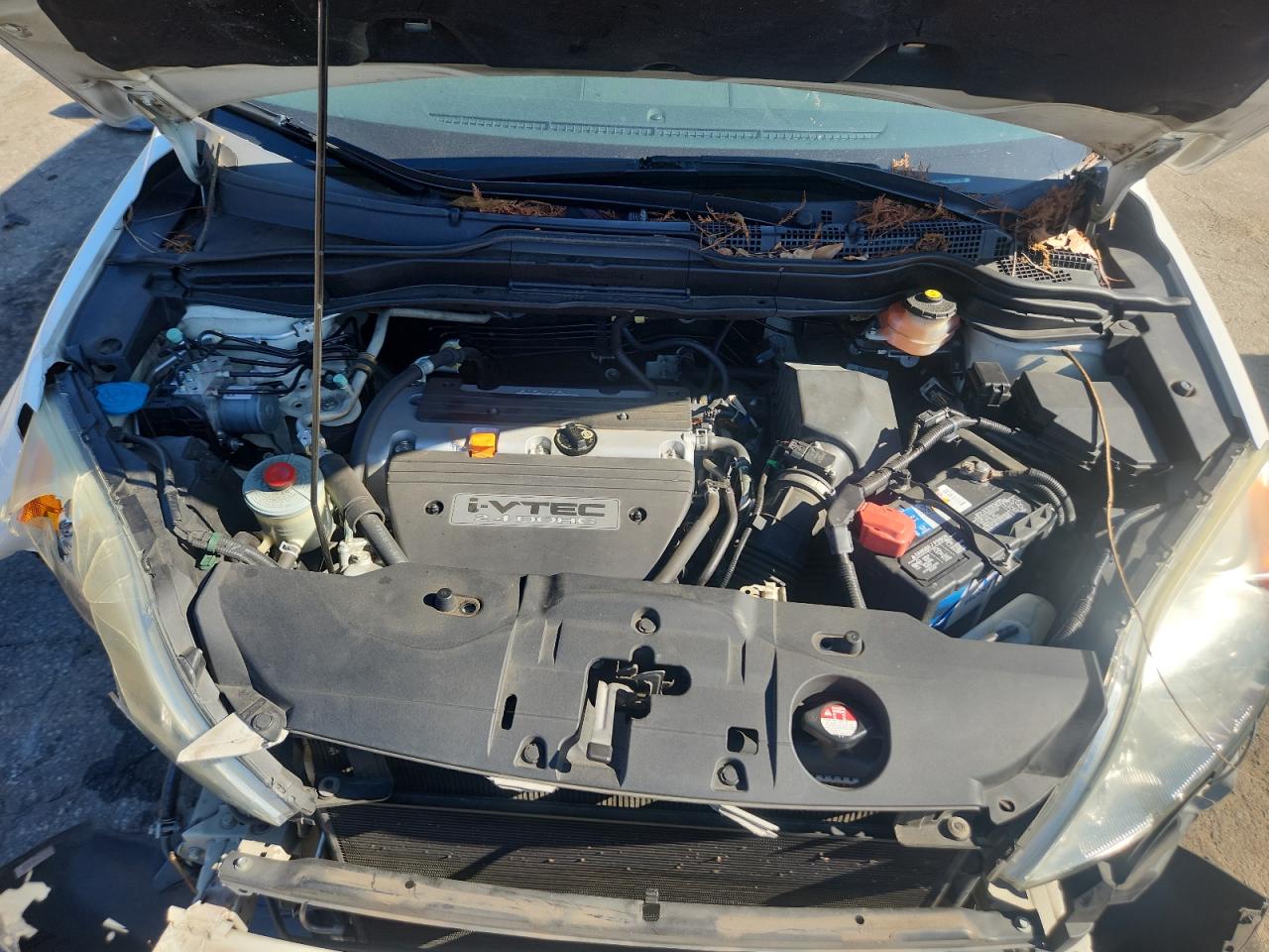 2008 Honda Cr-V Exl VIN: 5J6RE38788L001588 Lot: 92412935