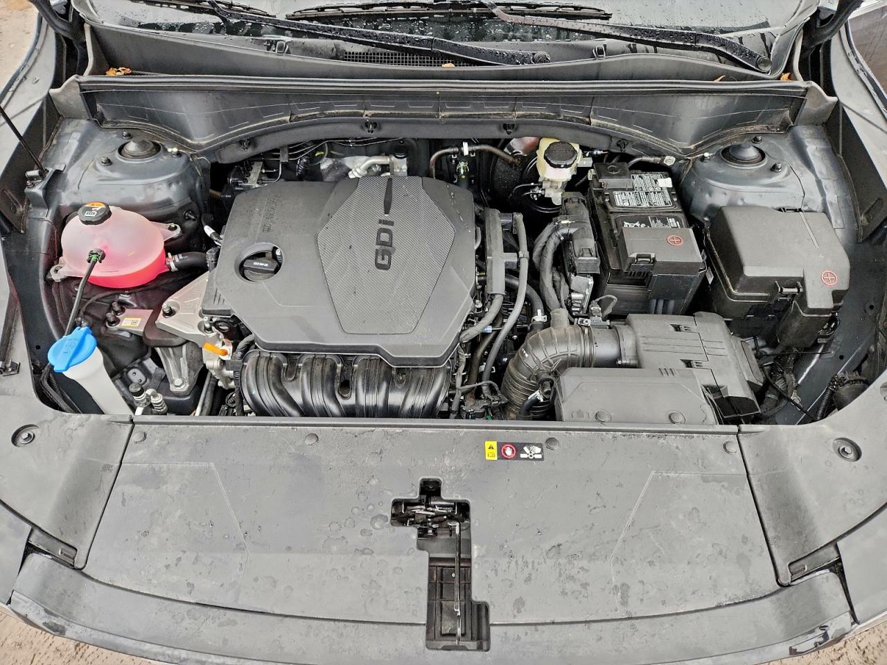 2025 Kia Sorento Lx VIN: 5XYRGDJC7SG384911 Lot: 94422785