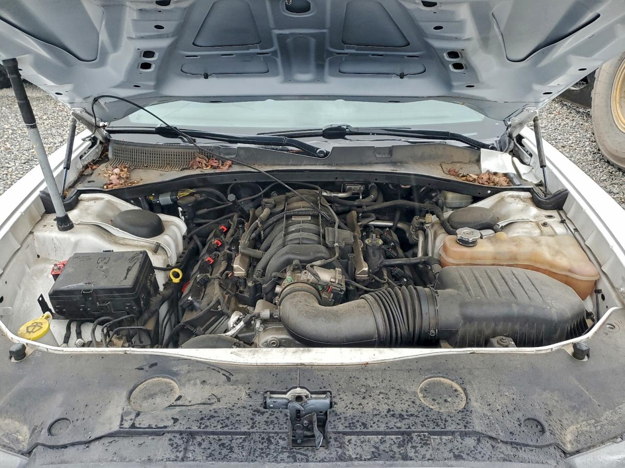 2014 Dodge Charger R/T VIN: 2C3CDXDT5EH331825 Lot: 93859025