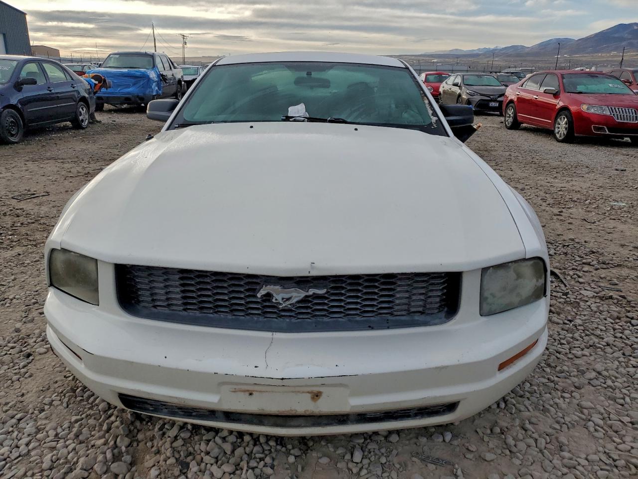 2007 Ford Mustang VIN: 1ZVFT80N075273431 Lot: 94418935