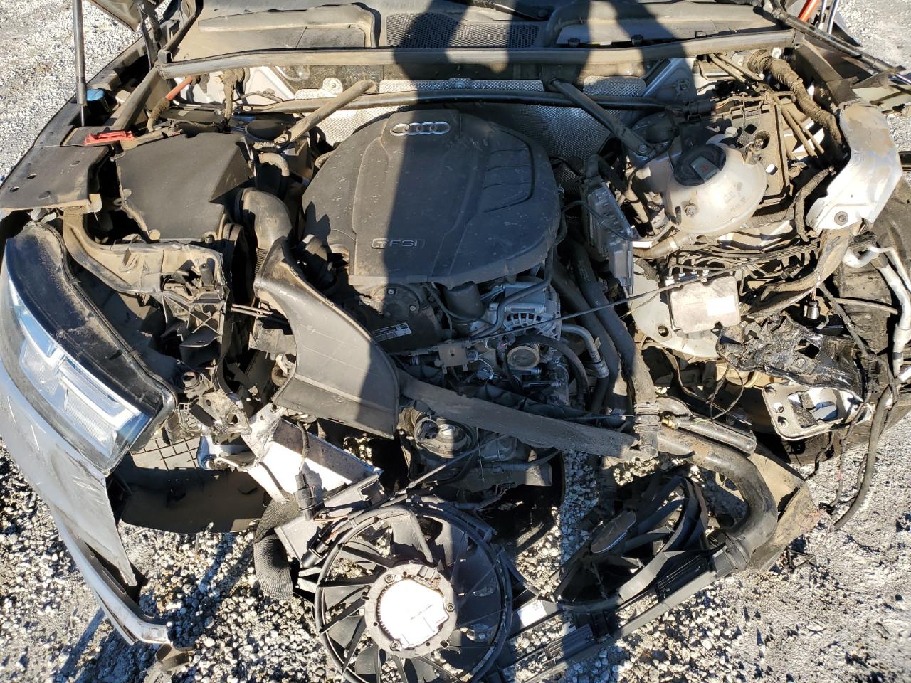 2019 Audi Q5 Premium Plus VIN: WA1BNAFY1K2135499 Lot: 90863315