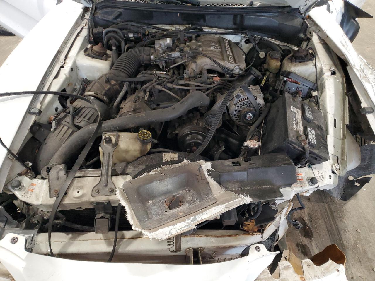 1998 Ford Mustang VIN: 1FAFP4443WF262942 Lot: 91736085