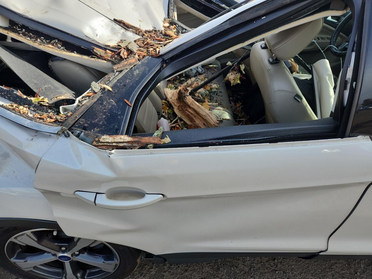 2018 Ford Escape Sel VIN: 1FMCU9HD1JUC66033 Lot: 91894975