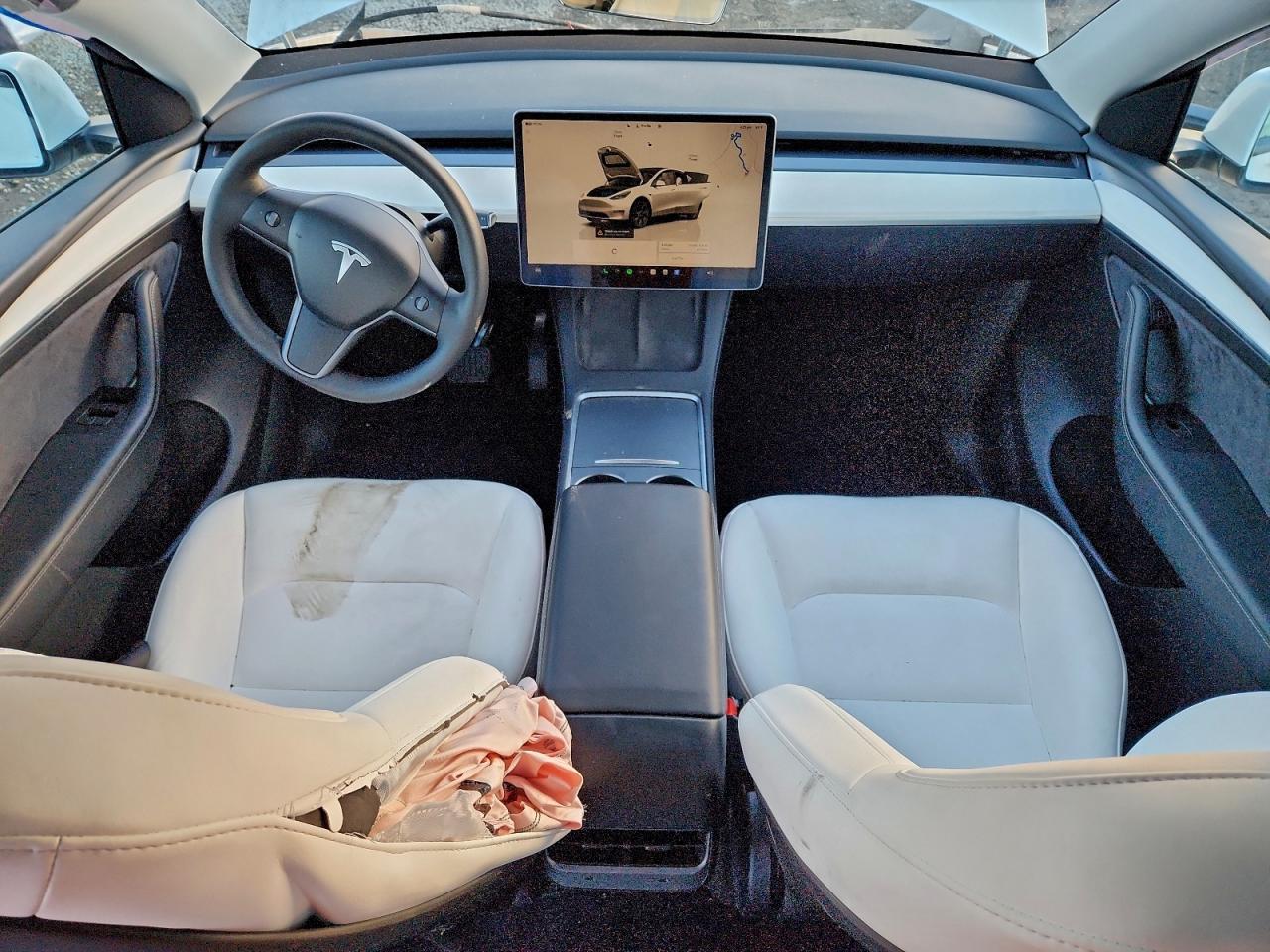 2024 Tesla Model Y VIN: 7SAYGDED9RF116591 Lot: 93519265