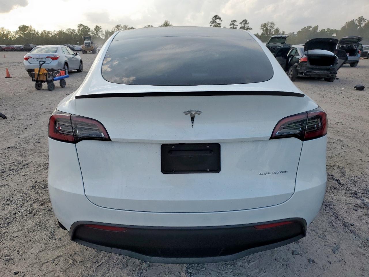 2024 Tesla Model Y VIN: 7SAYGDEEXRA257515 Lot: 93698655
