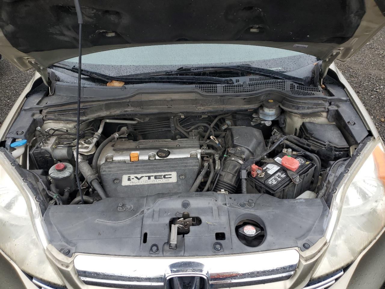 2007 Honda Cr-V Ex VIN: JHLRE38587C070450 Lot: 89649395