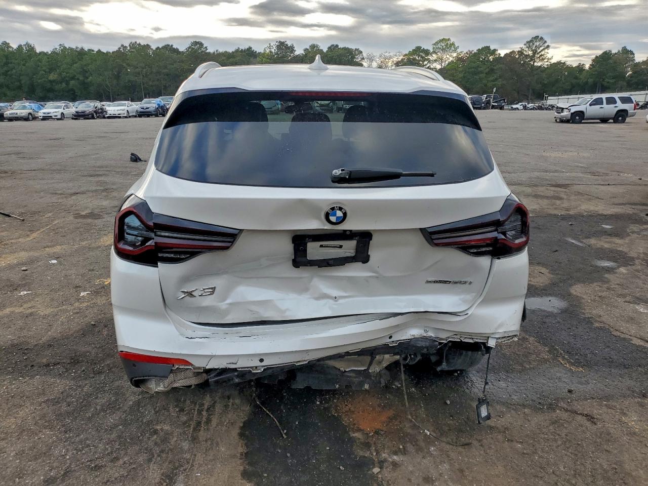 2022 BMW X3 Sdrive30I VIN: 5UX43DP01N9K26443 Lot: 93888975