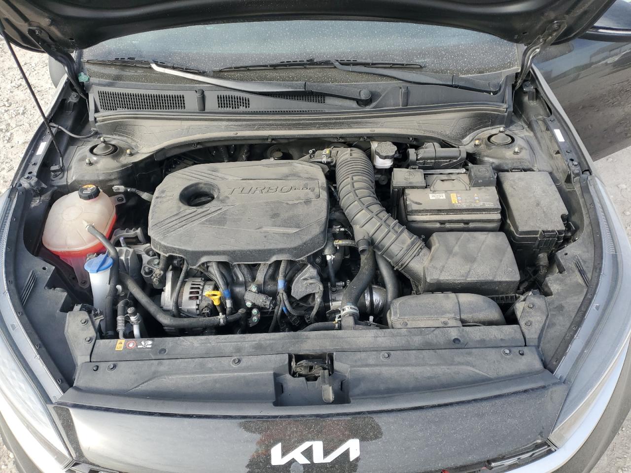 2022 Kia Forte Gt VIN: 3KPF44ACXNE478195 Lot: 91941705