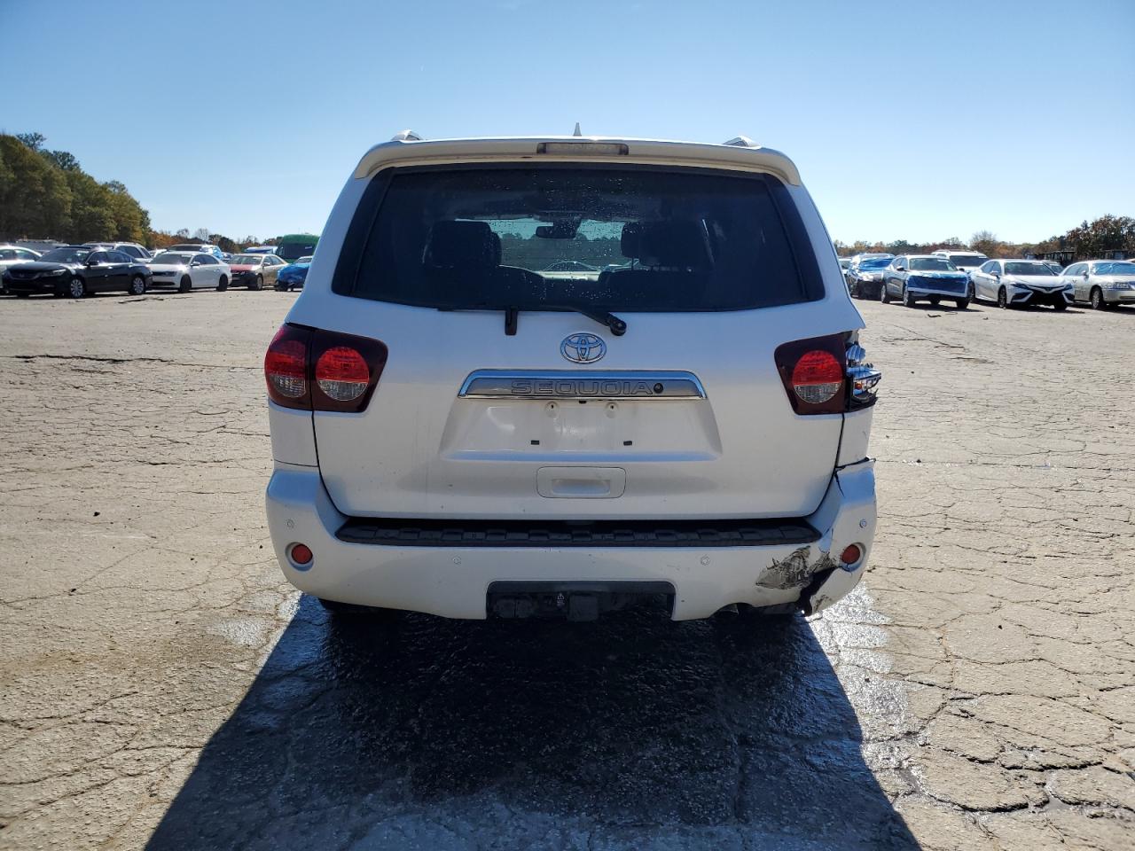 2019 Toyota Sequoia Platinum VIN: 5TDDY5G14KS171632 Lot: 92007585