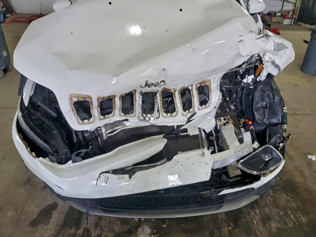 2019 Jeep Cherokee Limited VIN: 1C4PJMDX6KD120925 Lot: 93654335