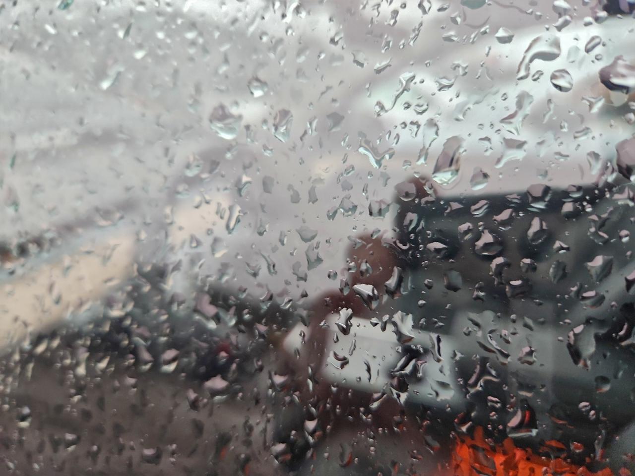 2024 Tesla Model Y VIN: 7SAYGDEE4RA226003 Lot: 94574255