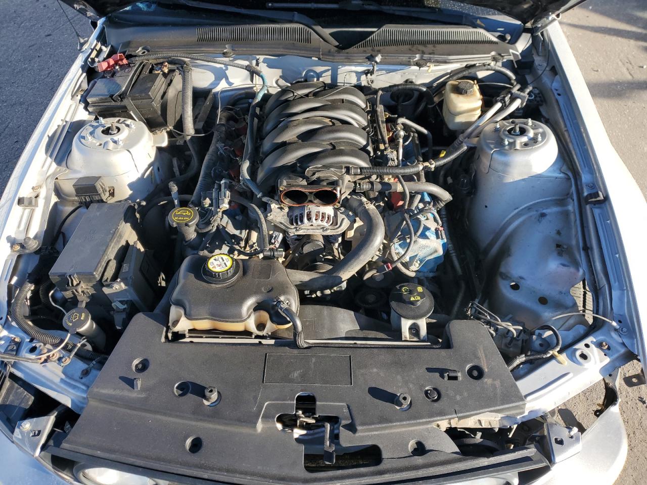 2008 Ford Mustang Gt VIN: 1ZVHT82H185192200 Lot: 91433995