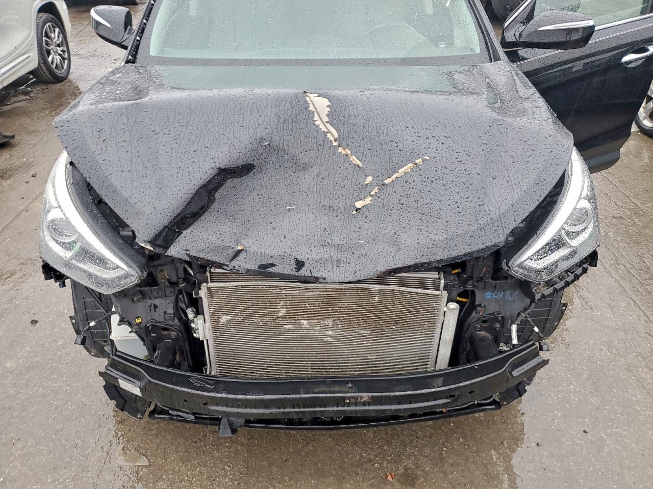 2017 Hyundai Santa Fe Sport VIN: 5NMZU3LB2HH045446 Lot: 94262195