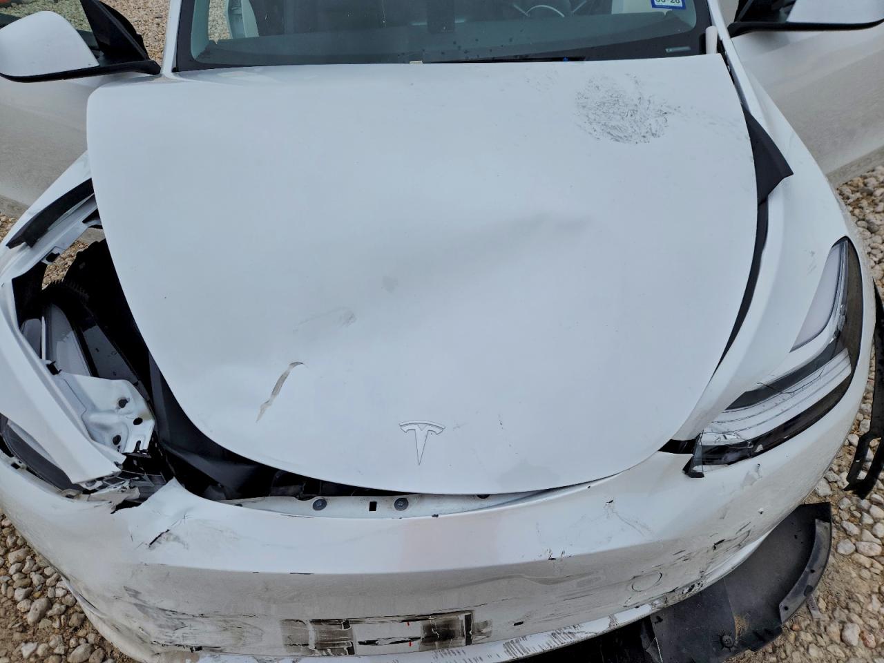 2023 Tesla Model Y VIN: 7SAYGDEE5PA130328 Lot: 93969915