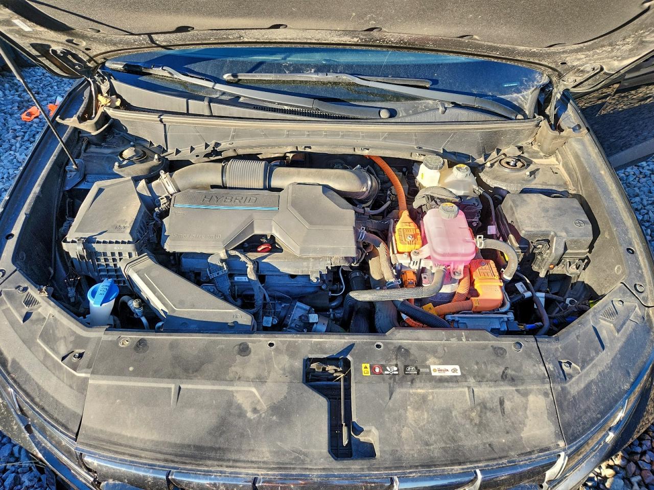 2022 Hyundai Tucson Limited VIN: KM8JECA15NU049866 Lot: 91295675