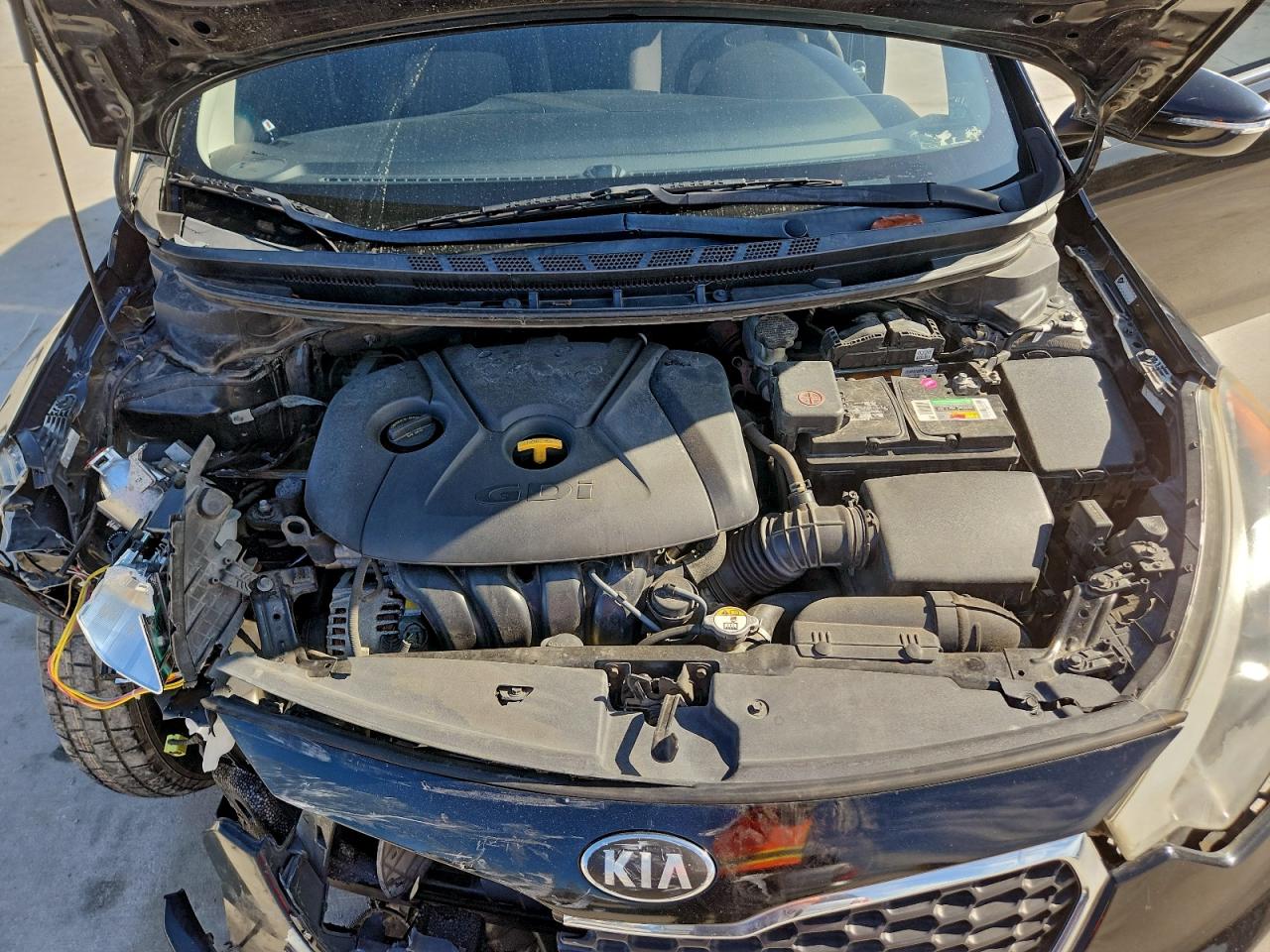 2016 Kia Forte Lx VIN: KNAFK5A81G5586045 Lot: 93757975