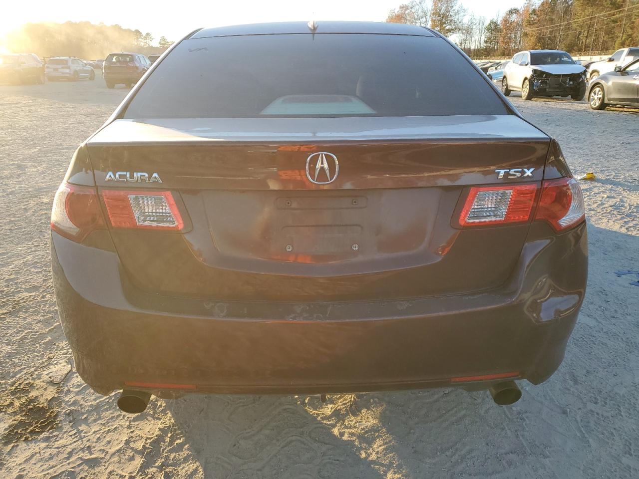 2010 Acura Tsx VIN: JH4CU2F67AC020981 Lot: 92613185