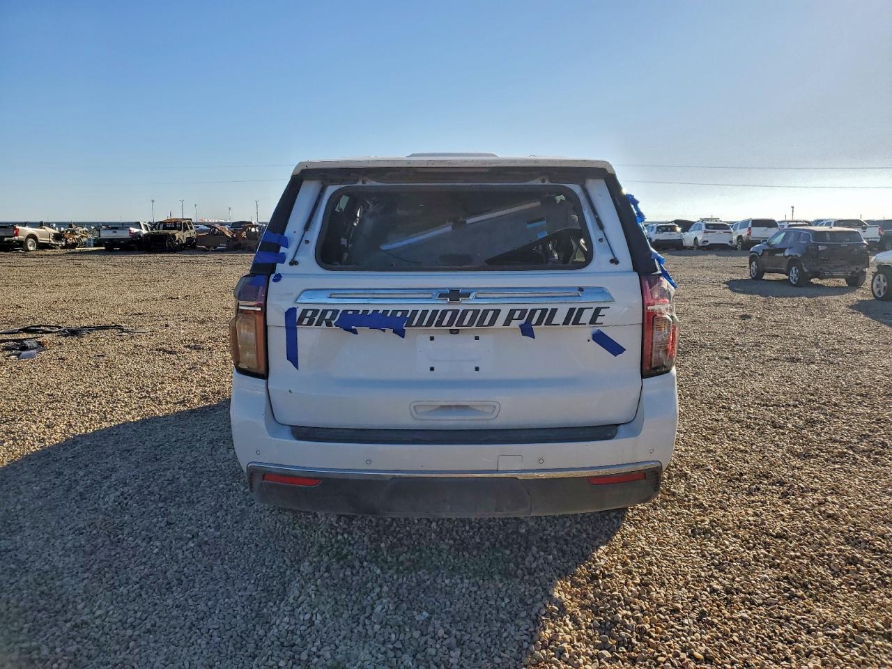 2024 Chevrolet Tahoe K1500 VIN: 1GNSKLED8RR195099 Lot: 86083295