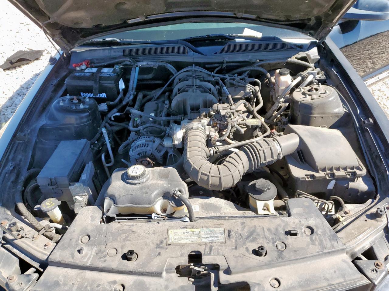 2009 Ford Mustang VIN: 1ZVHT84N395117437 Lot: 90795965