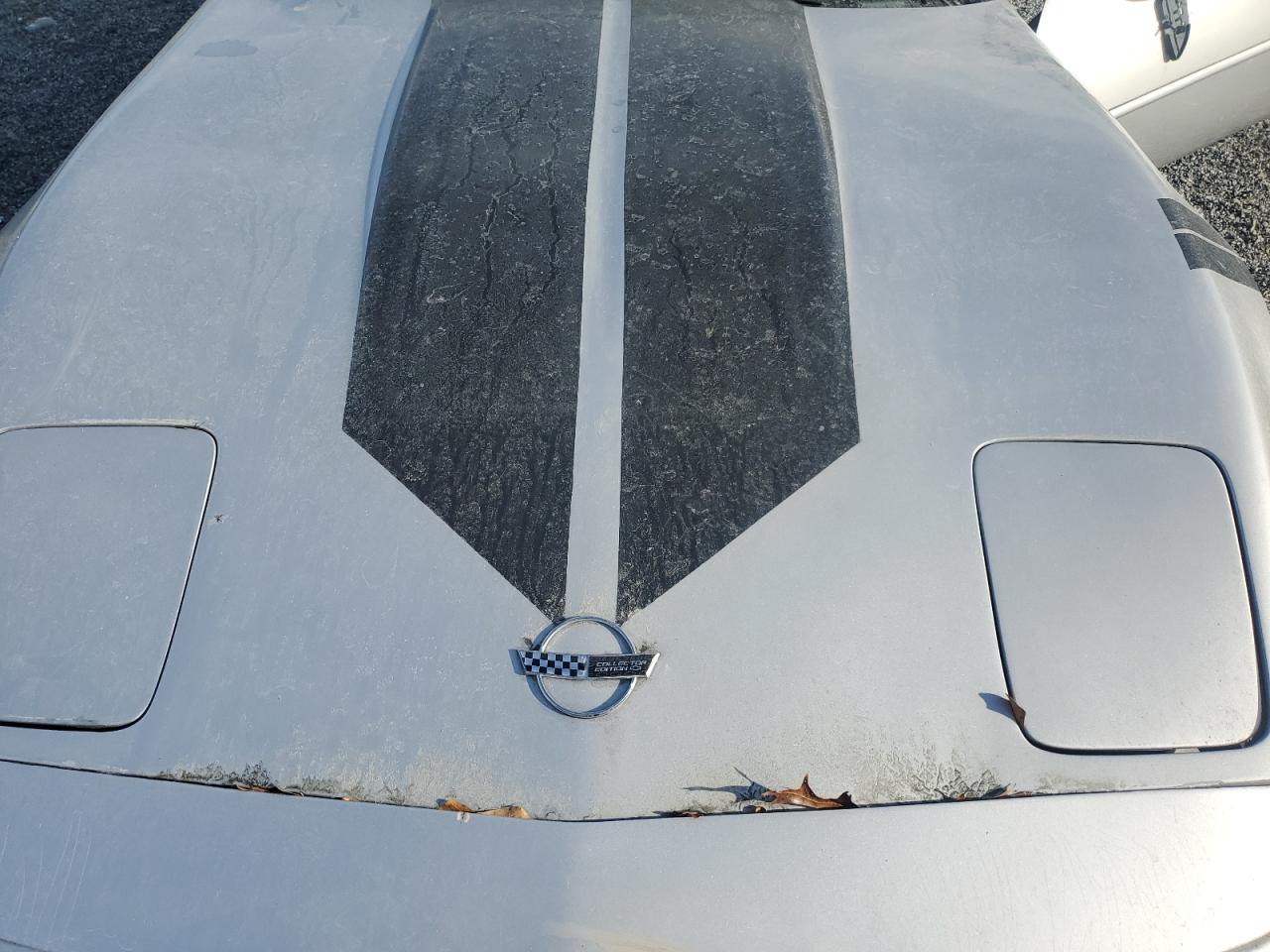 1996 Chevrolet Corvette VIN: 1G1YY22P5T5120006 Lot: 92677655