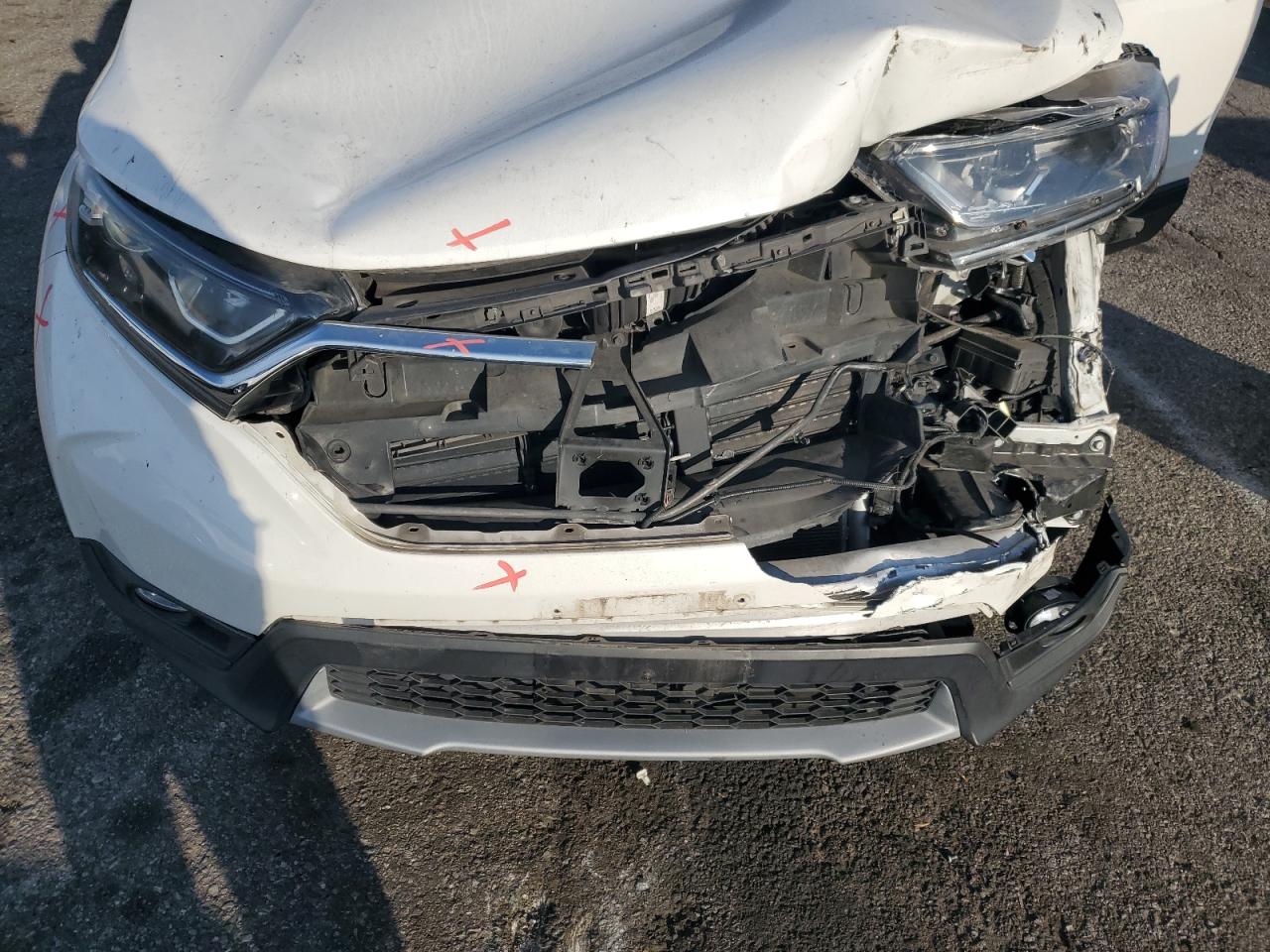 2019 Honda Cr-V Exl VIN: 5J6RW2H86KA002421 Lot: 90895465