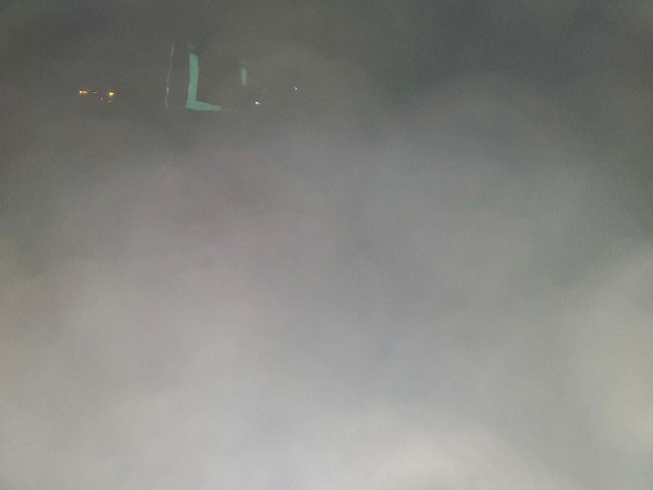 2021 Tesla Model Y VIN: 5YJYGDEE4MF184215 Lot: 93958095