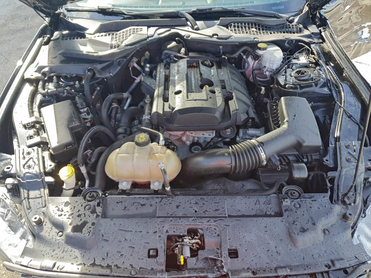 2019 Ford Mustang VIN: 1FA6P8TH5K5167326 Lot: 94592645