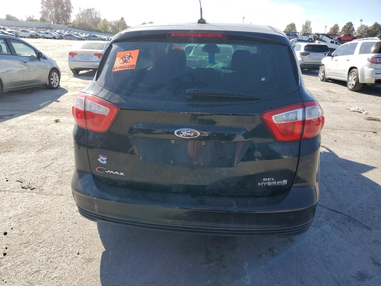 2016 Ford C-Max Sel VIN: 1FADP5BUXGL113687 Lot: 91689105