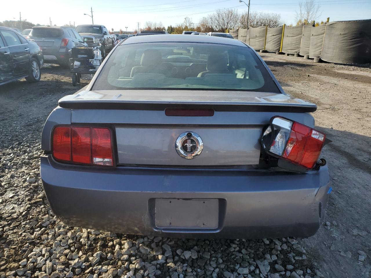 2007 Ford Mustang VIN: 1ZVFT80N375318393 Lot: 92080655