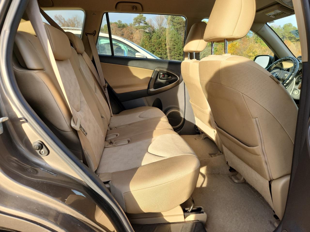 2010 Toyota Rav4 VIN: 2T3BF4DV8AW064448 Lot: 91731935