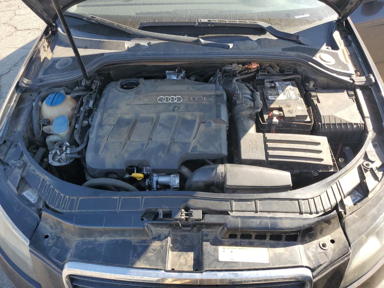 2011 Audi A3 Premium Plus VIN: WAUKJAFMXBA100235 Lot: 91122695