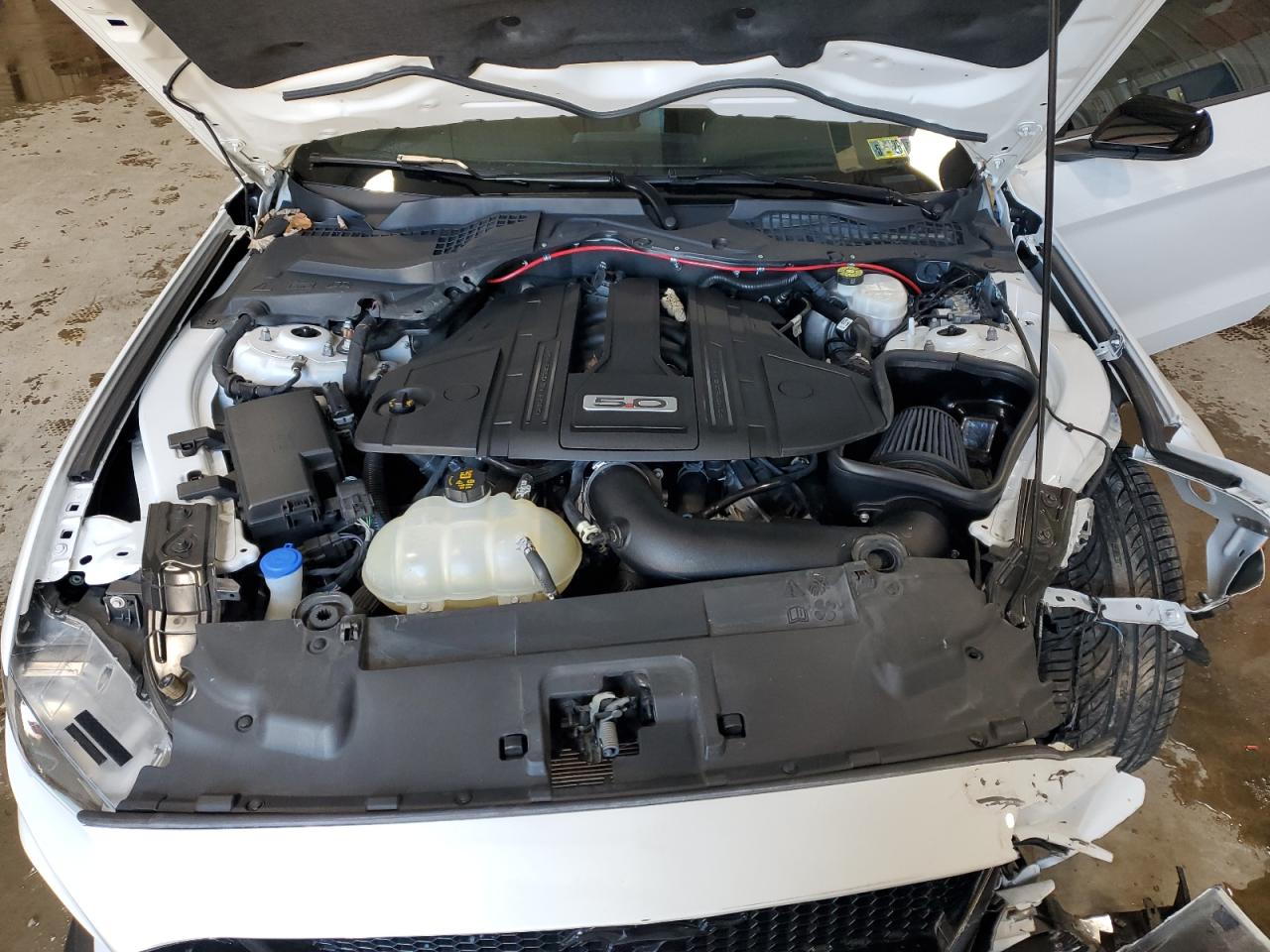 2021 Ford Mustang Gt VIN: 1FA6P8CF8M5134872 Lot: 91507555